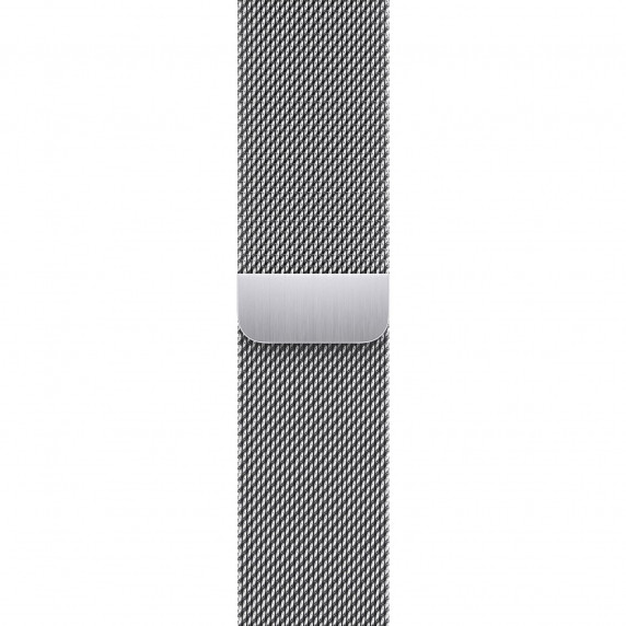 Apple Watch S9 45mm Silver / Stainless Steel Case