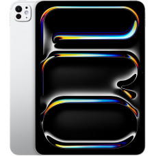 Купить Apple iPad Pro 13 256GB Wi-Fi Silver (2024)
