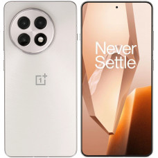 Купить OnePlus 13R 12/256GB Silver