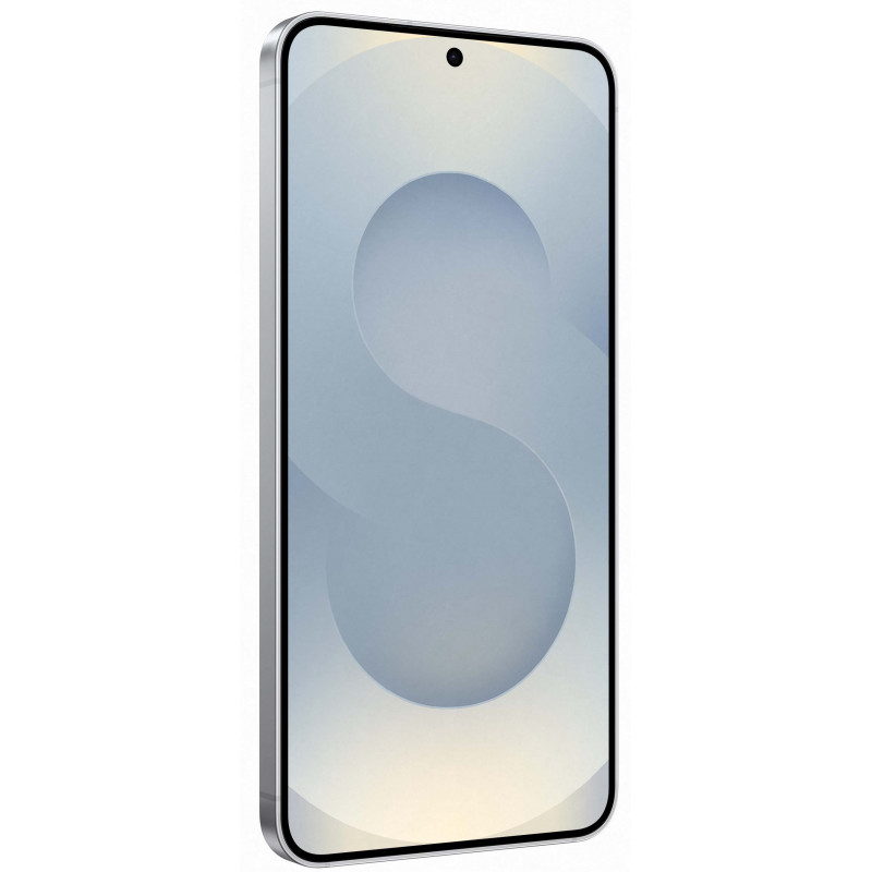 Samsung Galaxy S25 Plus 12/256Gb Silver Shadow